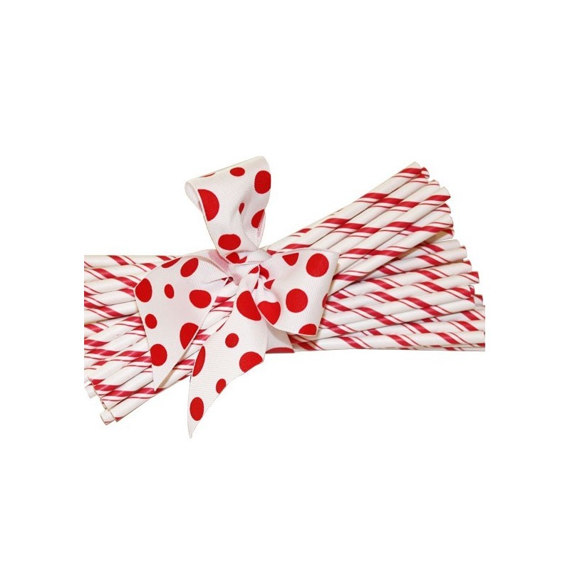 Paper straws double red striped