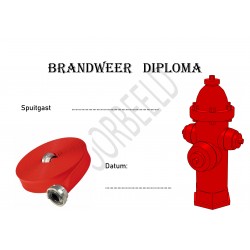 Fire department diploma