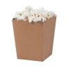 Mini popcorn boxes craft