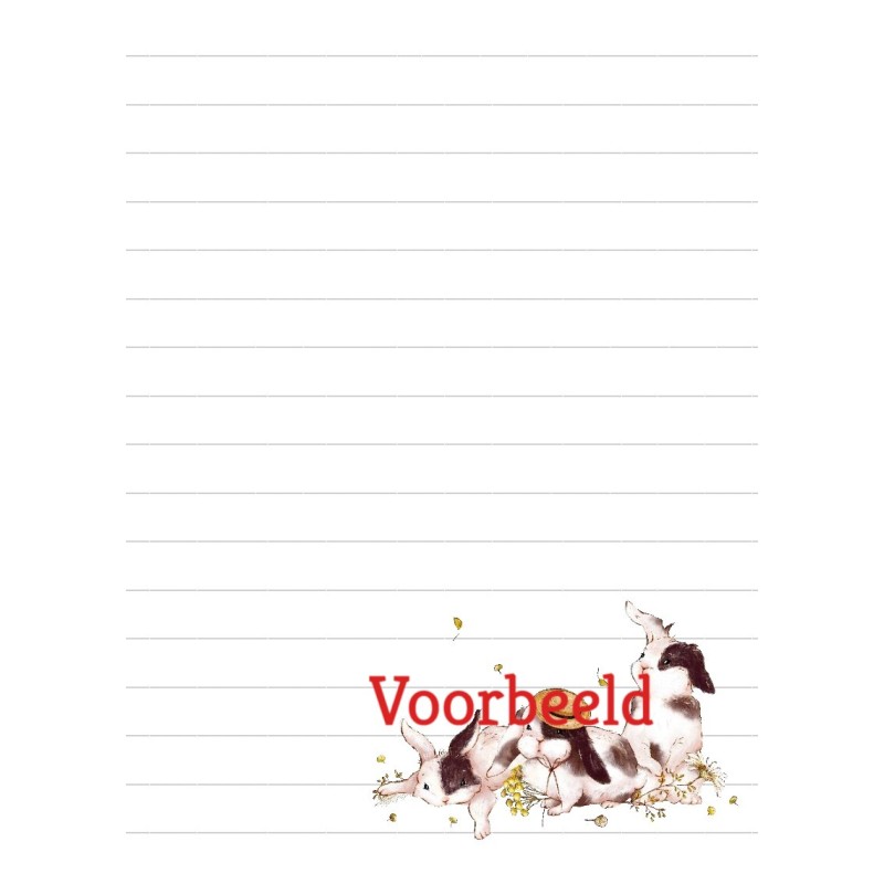 Notepad A6 bunnies with hat