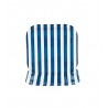 Square paper plates blue striped